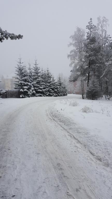 Apartment Velago Zlatibor Esterno foto